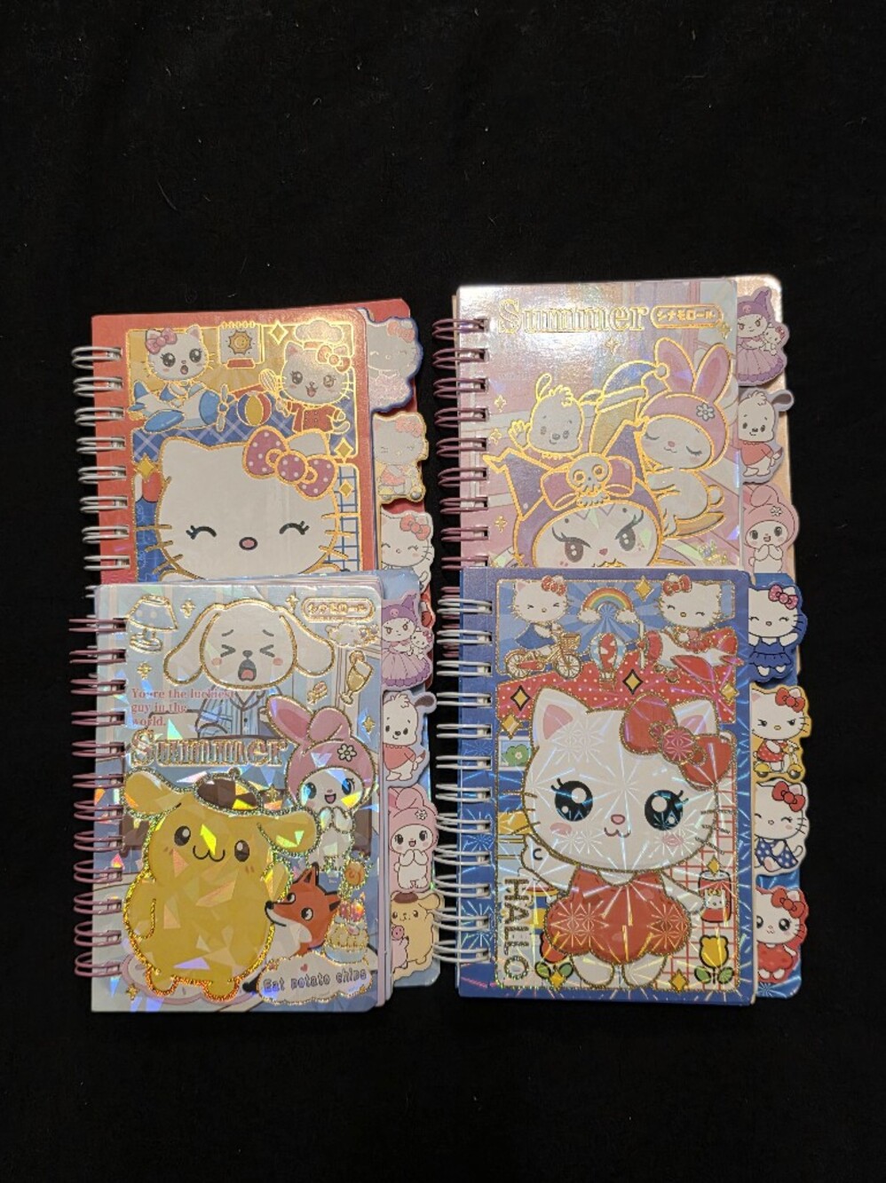 Sanrio Planner Bundle Of 4 (Spanish)